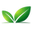 Lys Nature logo